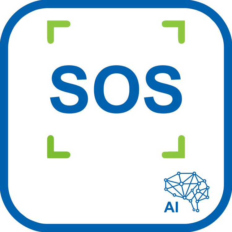 ST+PROJECT Нейросетевой модуль детекции ЧС* (проектный)  